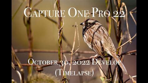 Capture One Pro 22 Activation Key
