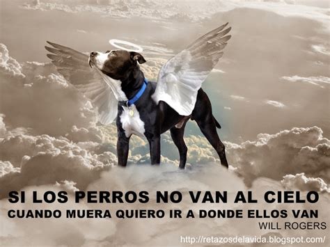 cielo de los animales 2025